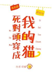 死对头穿成我的猫 死对头穿成我的猫