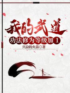 我的武道功法修为等级加1 我的武道功法修为等级加1