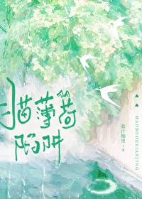 猫薄荷陷阱 猫薄荷陷阱